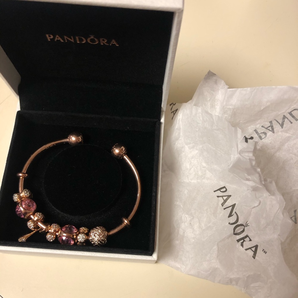 Pandora Bracelet